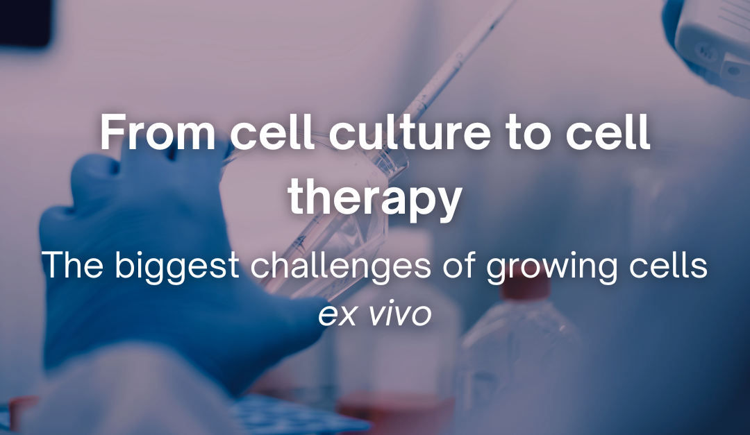 From cell culture to cell therapy – the biggest challenges of growing cells ex vivo