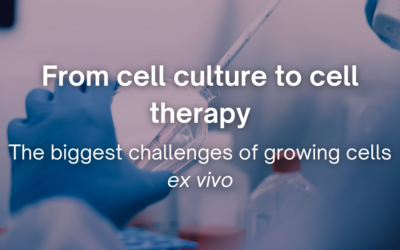 From cell culture to cell therapy – the biggest challenges of growing cells ex vivo